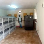 Nguelemendouka — IMG 20211109 WA0026